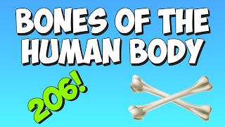 Learn the bones of the human body with the Bones Song [upl. by Anthe236]