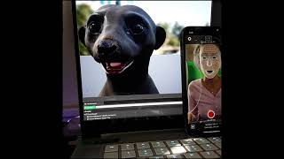 Unreal Engine LiveLink Face app test with Weta Meerkat Project [upl. by Eugenia984]