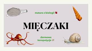 26 Mięczaki  małże ślimaki głowonogi  budowa charakterystyka 📕 biologia rozszerzona do matury [upl. by Worden]