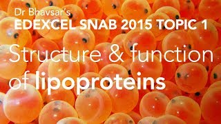 Edexcel SNAB A level biology lipoproteins topic 1 [upl. by Ryter]