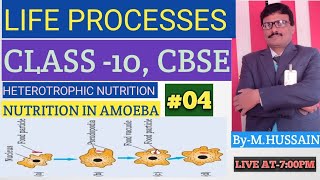 LIFE PROCESSES L04 HETEROTROPHIC NUTRITION NUTRITION IN AMOEBA [upl. by Ordnazil]