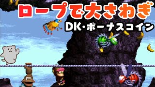 65 ロープで大さわぎ DKコイン・ボーナスコイン攻略【スーパードンキーコング3】Donkey Kong Country 3  Ropey Rumpus [upl. by Rudd]