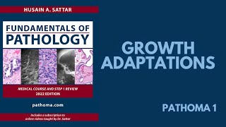 GROWTH ADAPTATIONS  Pathoma 1 [upl. by Einahpts]