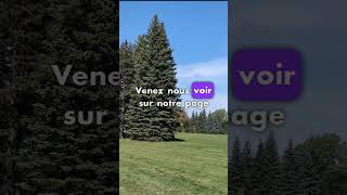 Parc Maisonneuve vidéo ici httpsyoutubexPO6XYrPs4Q [upl. by Brietta]