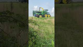 Starting on the headlands 😮‍💨 grassmen silage johndeere newholland trailer views [upl. by Vtehsta323]