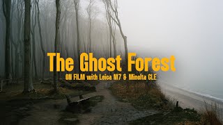 Shooting 35mm film in the most mysterious forest in Germany  Leica M7 amp Minolta CLE [upl. by Mchale]