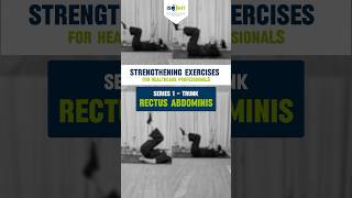 3 Effective ways of strengthening Rectus abdominis muscle  Exercises for Healthcare professionals [upl. by Strepphon]