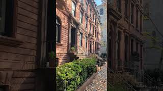 Brownstones in Brooklyn Heights nyc brooklyn brownstones travel usa reels city fall [upl. by Chicoine]