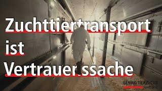 Zuchttiertransport ist Vertrauenssache Bergerbusch Transporte GmbH [upl. by Tamra]