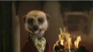 Compare The Meerkat Bloopers [upl. by Yrrab]