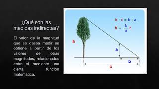 Medidas Directas e Indirectas [upl. by Florine543]