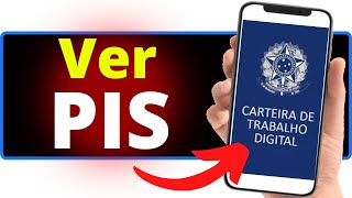 Como Ver o Numero do Pis na Carteira de Trabalho Digital [upl. by Egiap]