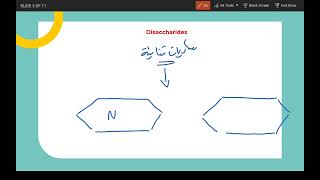 Oligosaccharides 1 [upl. by Etnor]