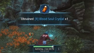 mir4 Search Obtained R Blood Soul Crystal x1 [upl. by Novyert]