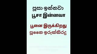 Learn spoken tamil and sinhala MrSinhalamaster [upl. by Neri]