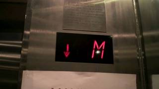 Wonderful Schindler Traction Elevators at Super 8 Hotel Atlanta [upl. by Zelten559]