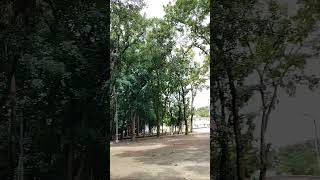 I visit MBSTU In Bangladesh viralvideo freepalestinesong boycottisraelproducts [upl. by Llehsal]