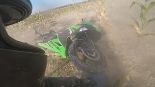 Beginner motorcycle crash  Kawasaki Ninja 300 ABS [upl. by Ainezey]