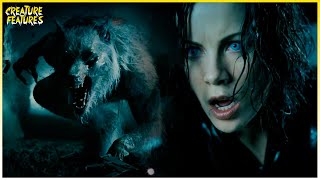 Selene Brings The Castle Down On William  Underworld Evolution  Creature Features [upl. by Thais384]