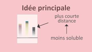 Chromatographie sur papier et sur couche mince  FuseSchool  Unisciel [upl. by Anniken]