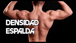 ►►LOS 5 MEJORES EJERCICIOS PARA UNA ESPALDA DENSA Y ROCOSA COMO TENER UNA ESPALDA MASIVA [upl. by Maynard]