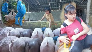 Handling barns after epidemics daily lifeĐiêuthịnam [upl. by Connell]