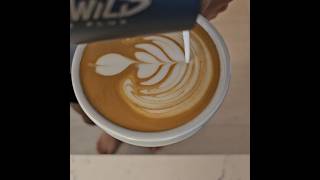 sidamo duwancho 2024toh coffee barista latteart [upl. by Stalker]