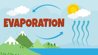 What is evaporation  How salt is made  Evaporation process amp facts  Evaporation video for kids [upl. by Skye]