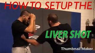 How to Setup and Land a Liver Shot [upl. by Margot145]