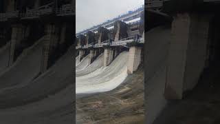 Kolar dam 4 gate open 😍 bhopal bhopallakeview trending viralshortviralshort ilovebhopal dam [upl. by Bijan]