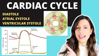 Alevel CARDIAC CYCLE Diastole atrial systole ventricular systoles the pressure volume changes [upl. by Ramedlaw]