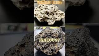 Vesicular Texture Igneous Rocks [upl. by Toy]