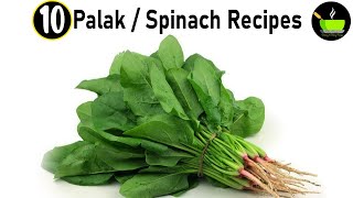 10 Palak Recipes  Spinach Recipes  Quick amp Easy Spinach Recipes  Healthy Recipes With Palak [upl. by Filmore98]