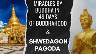 Unveiling Buddhism Miracles by Buddha in 49 Days of Buddhahood  Shwedagon Pagoda in Myanmar [upl. by Oiruam]