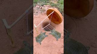 Survival SkillsSimple But Very Useful with turtle deep hole trap survival shorts outdoor [upl. by Holsworth]