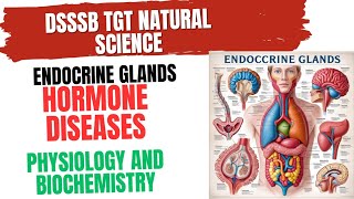 Hormone Diseases Physiology and Biochemistry for DSSSB TGT Natural Science endocrinesystem [upl. by Bertsche26]