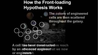 A Biological Design Hypothesis Frontloading [upl. by Isaiah]