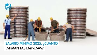 Salario mínimo 2025 ¿cuánto estiman las empresas [upl. by Ahtela]