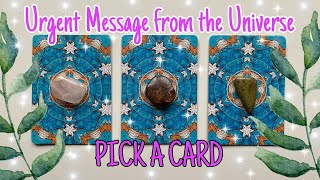 Urgent Message from the Universe PICK A CARD Tarot Reading Timeless and In Depth [upl. by Cerell253]