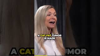 How to identify cat fatty tumorslipomas cathealth lipoma fattytumor naturalsolutions [upl. by Cira]