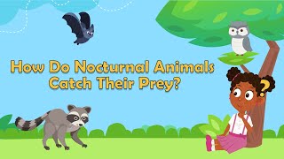 Nocturnal Animals  Science for Kids [upl. by Einahpehs256]