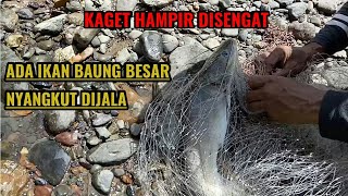 ASAL LEMPAR JALA TERNYATA ADA IKAN BAUNG BESAR SESAT NYANGKUT [upl. by Meuse648]