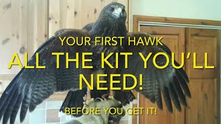 FALCONRY All the kit you need for your first hawk Harris hawk redtail  lanner and others [upl. by Vinay]