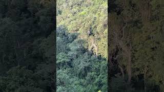 Bungee at Graskop Gorge in Graskop toerbroers travel [upl. by Cinamod]