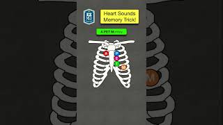 🔥 How to Remember Heart Sounds Auscultation Nursing Assessment  Stethoscope [upl. by Iona]