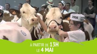 Bande annonce Montbéliard Prestige 2016 [upl. by Witkin943]