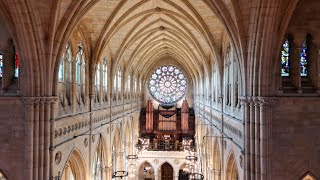 Arundel Cathedral Interior [upl. by Raye]