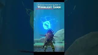 link destroys windblight ganon damage zeldabotw mastermode part1 [upl. by Ellita652]