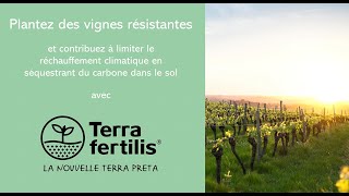 Utiliser le biochar premium TERRA FERTILIS en viticulture [upl. by Kciredec]