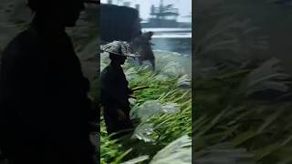 Every stealth kill has its own styles ghostoftsushima gaming ps5 shorts jinsakai [upl. by Mast]